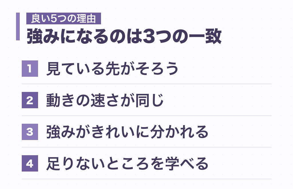 指揮官と主人公の相性が良いと言われる5つの理由